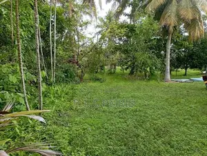 Land for sale in Katana,Demanhandiya.Gampaha.