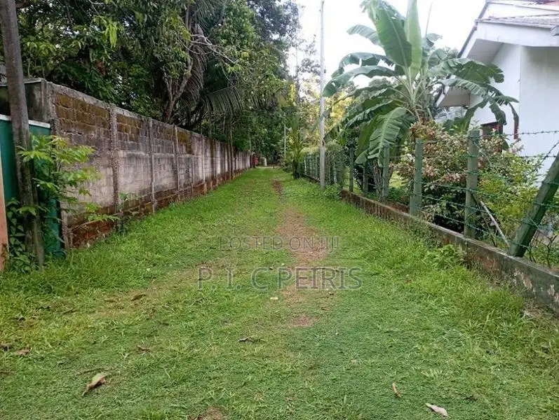 Land for sale in Katana,Demanhandiya.Gampaha.