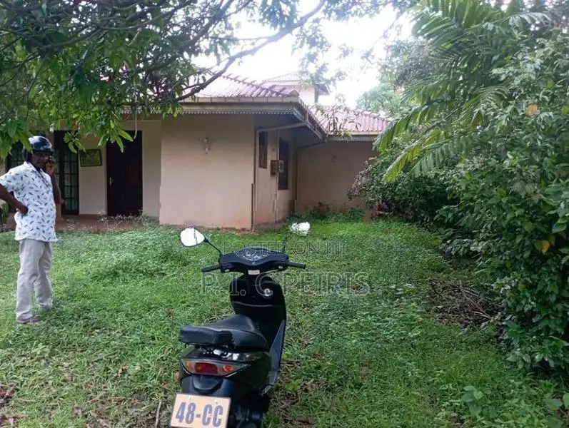 Land for sale in Katana,Demanhandiya.Gampaha.