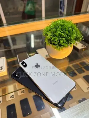 Apple iPhone XS Max 256GB (Used)