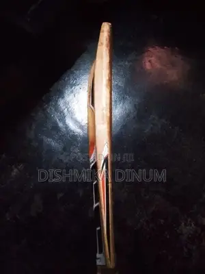 Kashmir Willow SS Bat