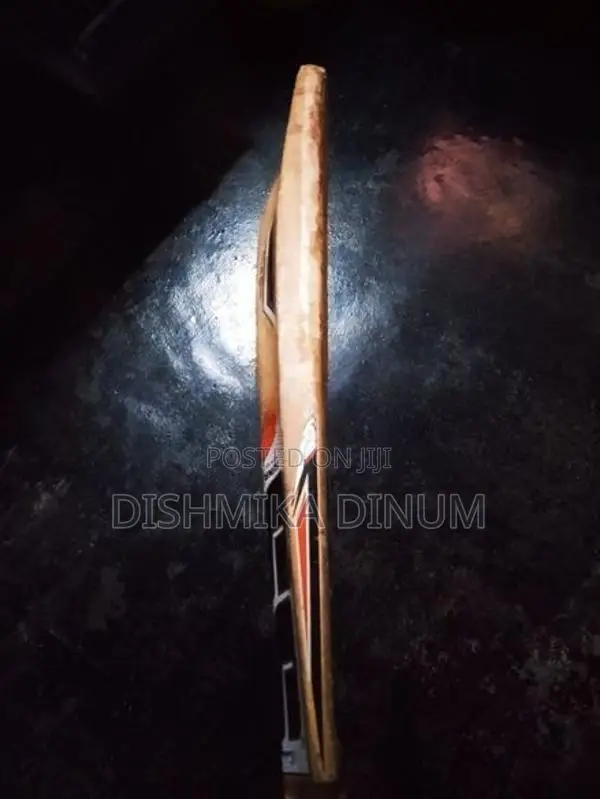 Kashmir Willow SS Bat