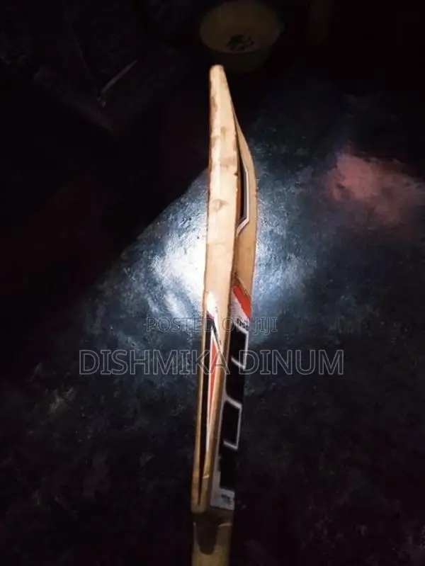 Kashmir Willow SS Bat