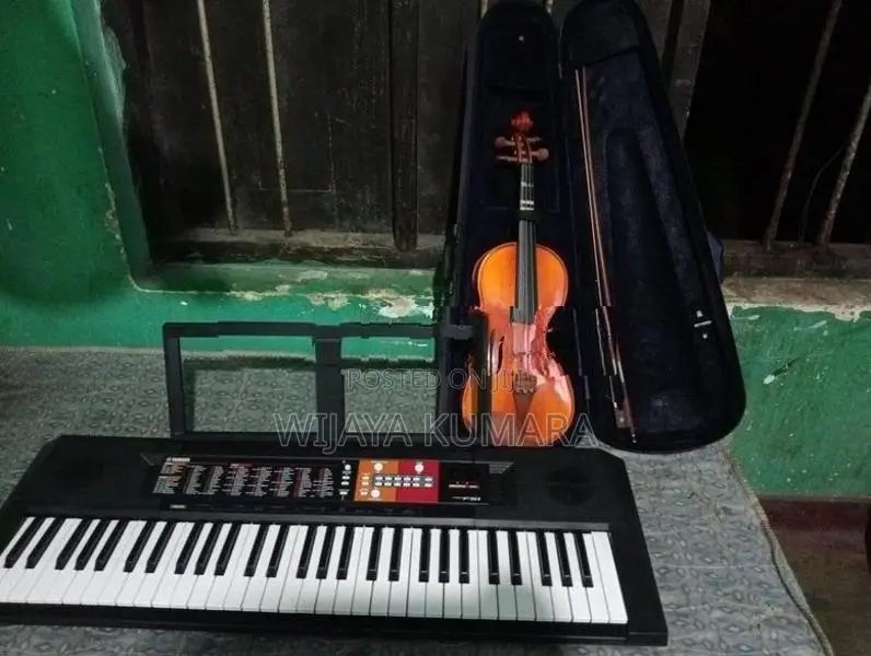 Violin with Organ