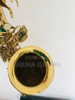 Kaerntner Alto Saxophone