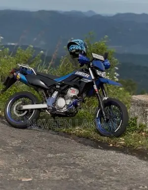 Kawasaki D Tracker 2011