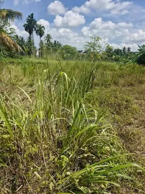 Land for Sale in Malabe