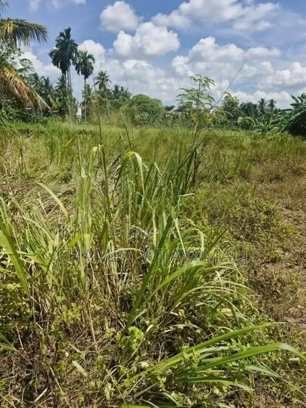 Land for Sale in Malabe