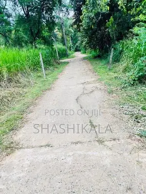 වැල්ලවාය නගරය ආසන්නයේ වටිනා ඉඩමක් විකිණීමට