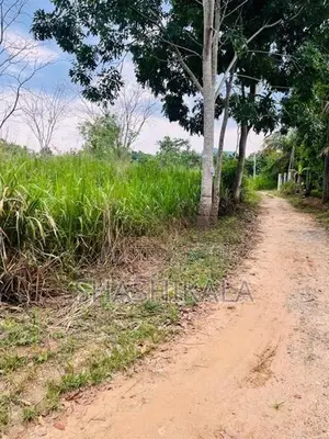 වැල්ලවාය නගරය ආසන්නයේ වටිනා ඉඩමක් විකිණීමට
