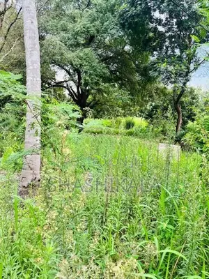 වැල්ලවාය නගරය ආසන්නයේ වටිනා ඉඩමක් විකිණීමට