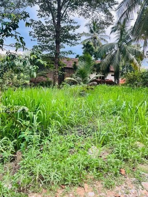 වැල්ලවාය නගරය ආසන්නයේ වටිනා ඉඩමක් විකිණීමට