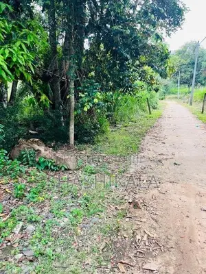වැල්ලවාය නගරය ආසන්නයේ වටිනා ඉඩමක් විකිණීමට