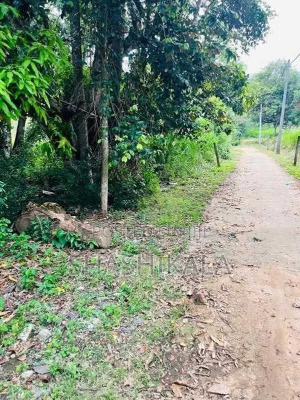 වැල්ලවාය නගරය ආසන්නයේ වටිනා ඉඩමක් විකිණීමට