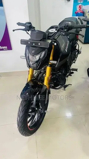 Hero Hunk 160R 2026