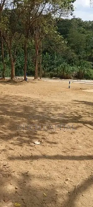 Wonderful Beach Face Land Plot for sale Midigama