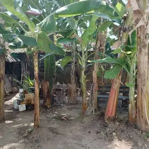 Land for Sale in Alwis Town, Wattala