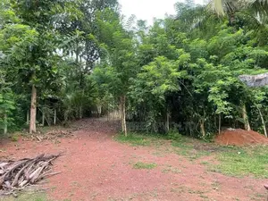 Land For Sale With House | Minuwangoda 125 Perches