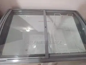 Singer Deep Freezer (3-in-1)