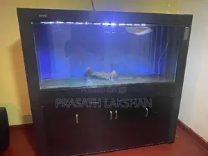 6 Feet Fish Tank