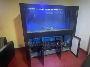 6 Feet Fish Tank
