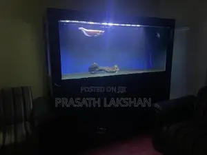 6 Feet Fish Tank
