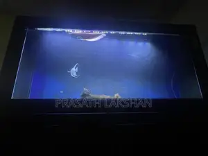 6 Feet Fish Tank