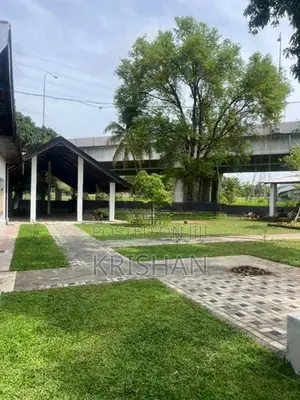 Malaysian Grass