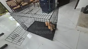 Dog Cage - Foldable