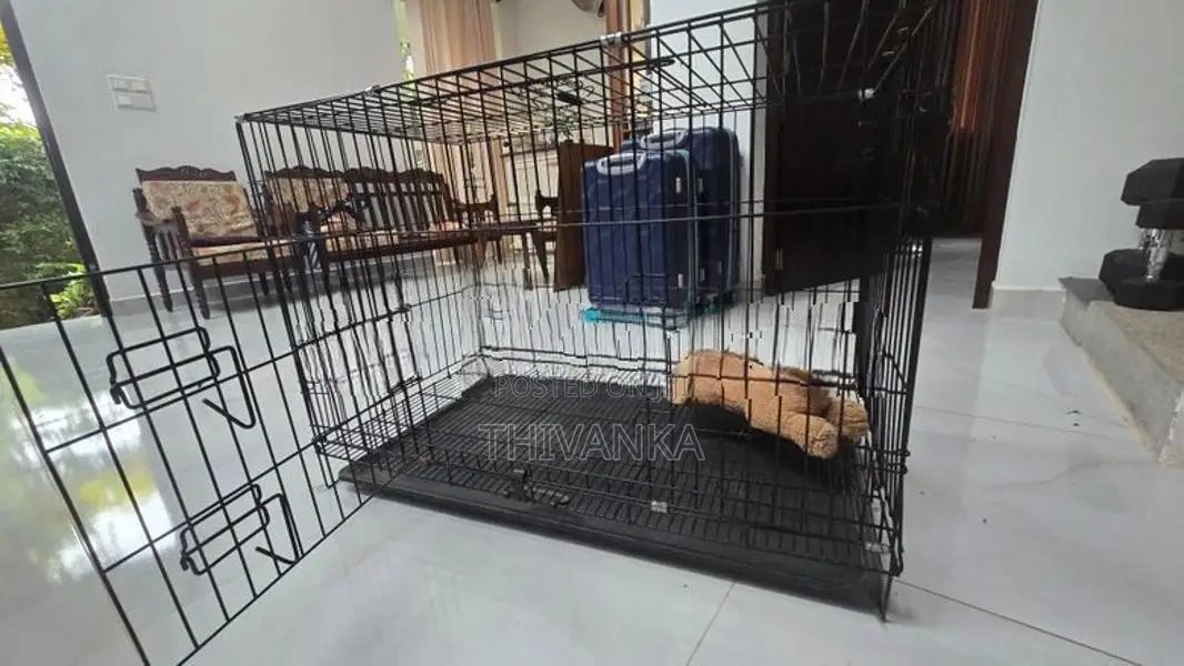 Dog Cage - Foldable