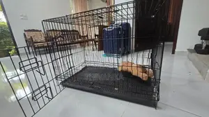 Dog Cage - Foldable