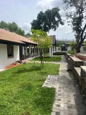 Malaysian Grass