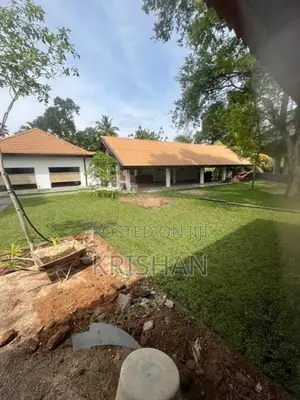 Malaysian Grass