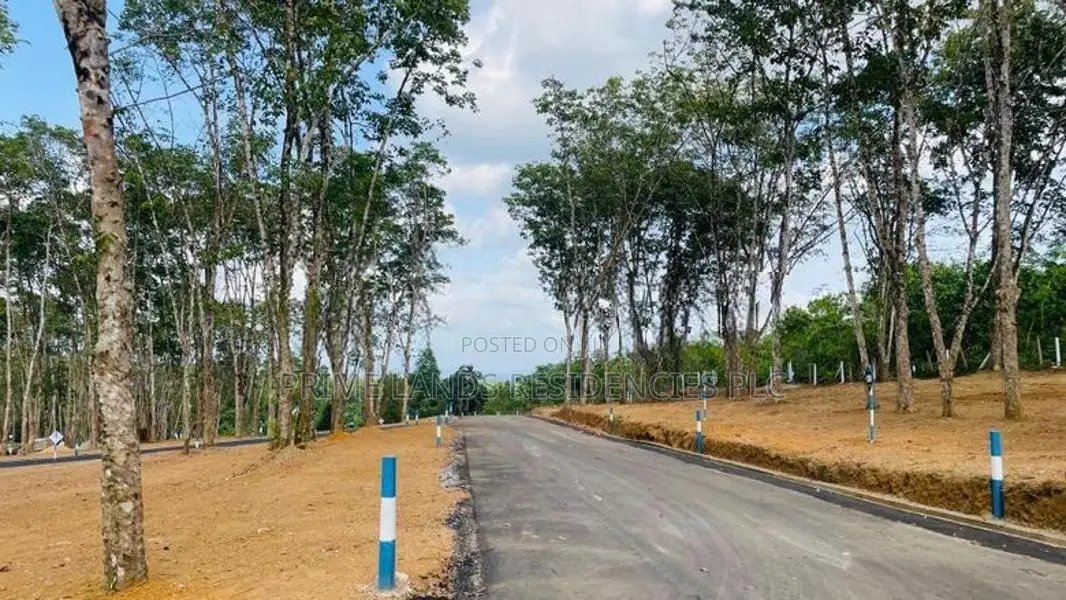 Valuable Land for sale in Homagama Thalagala