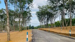 Valuable Land for sale in Homagama Thalagala