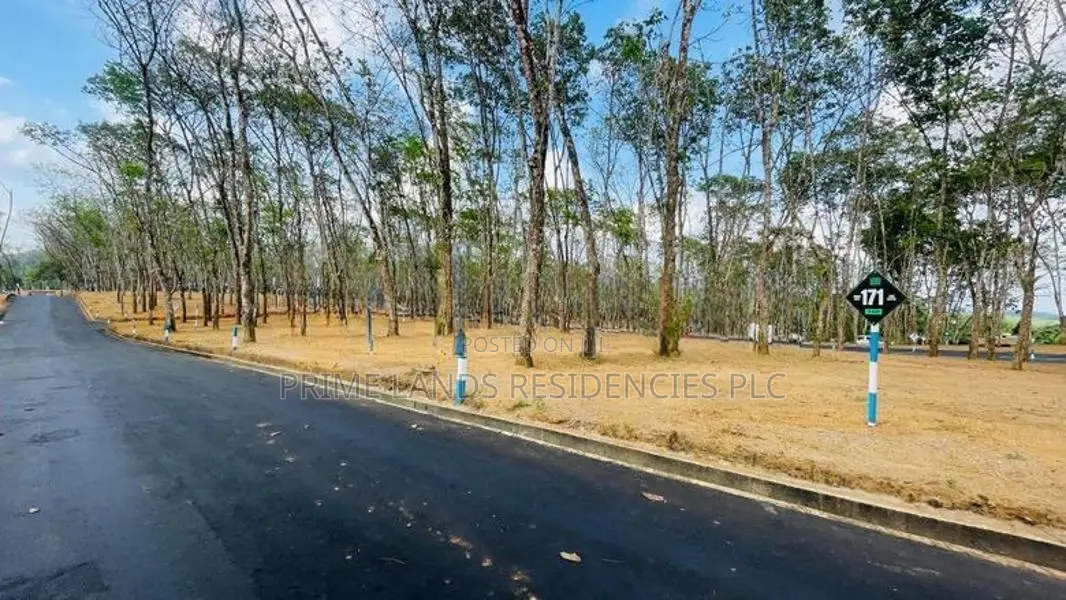 Valuable Land for sale in Homagama Thalagala