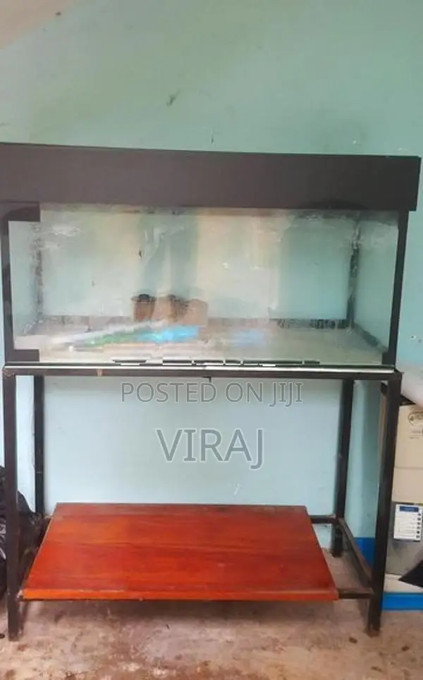 Fish Tank