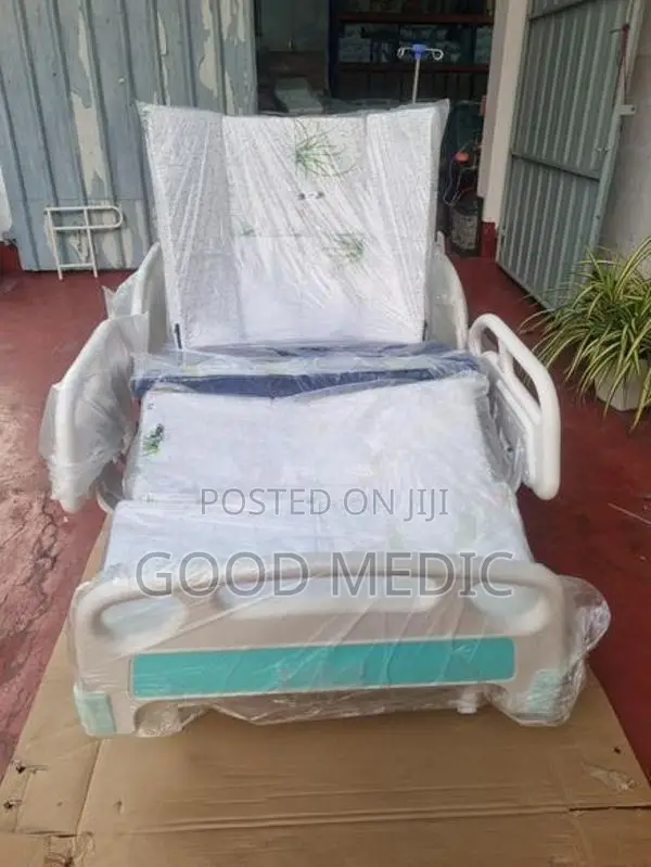 Five Function Electric Beds with Sanitory