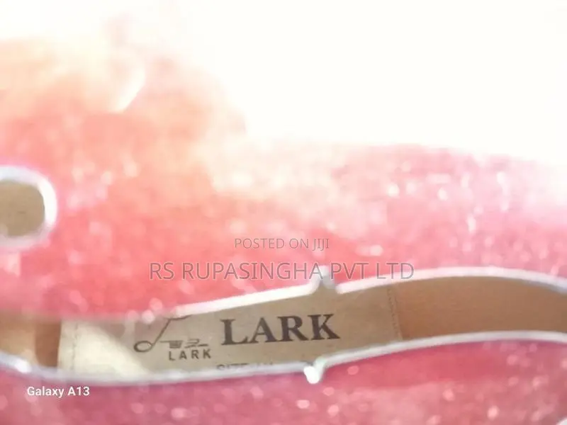 Lark Violin