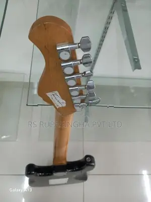 Electric Guitar