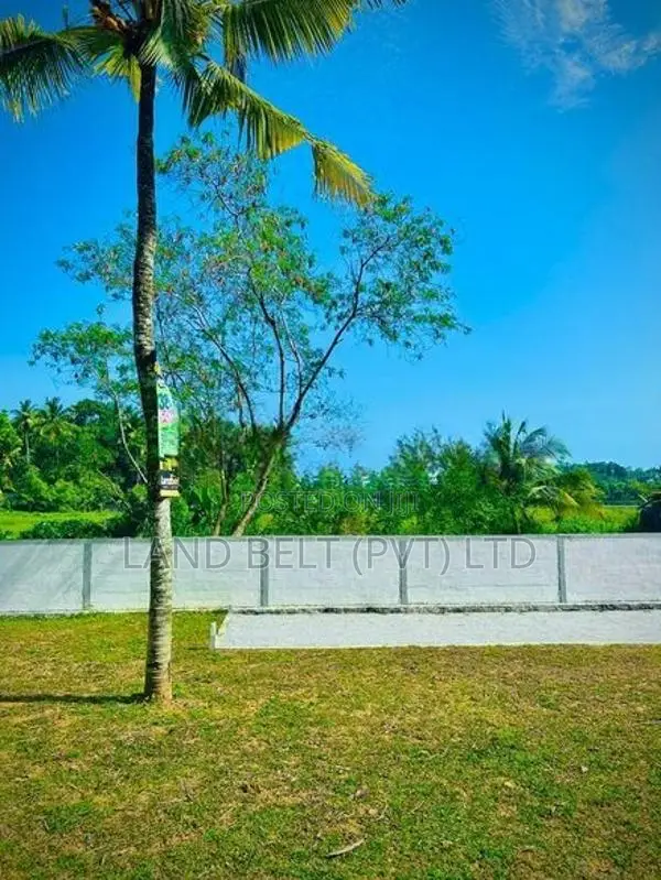 Land for Sale in Malapalla