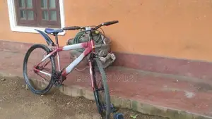 Tomahawk Bike