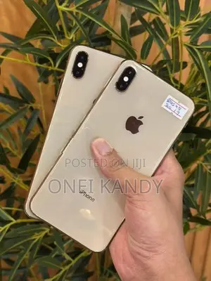 Apple iPhone XS Max 256GB (Used)