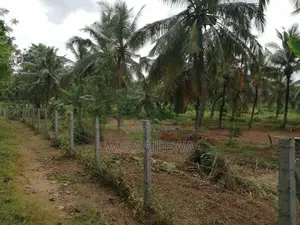 Very Good Land for Agriculture and Farming Sale Godigamuwa