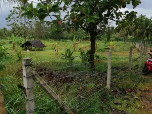 Very Good Land for Agriculture and Farming Sale Godigamuwa