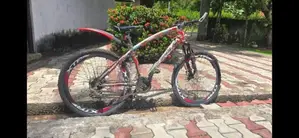 Mountain Bicycle