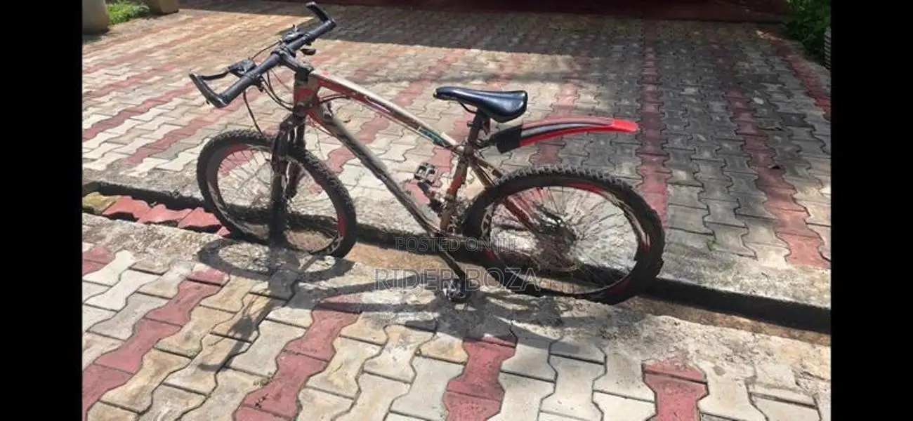 Mountain Bicycle
