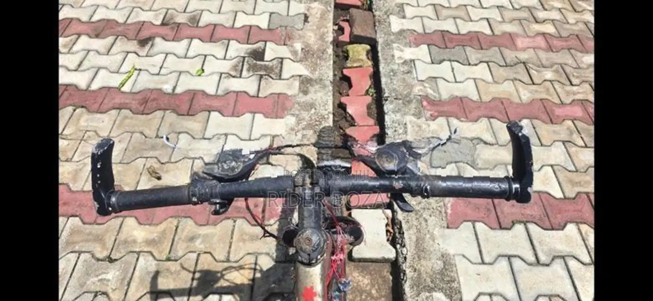 Mountain Bicycle