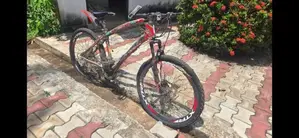 Mountain Bicycle