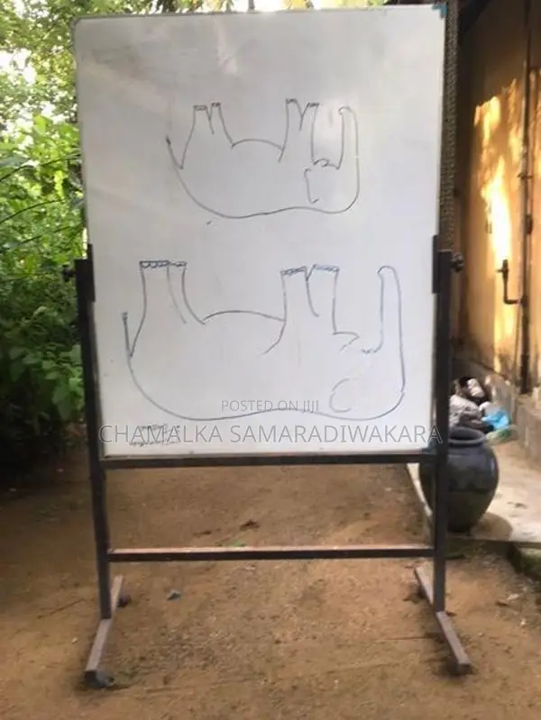 5 X 4 Ft Whiteboard with Stand